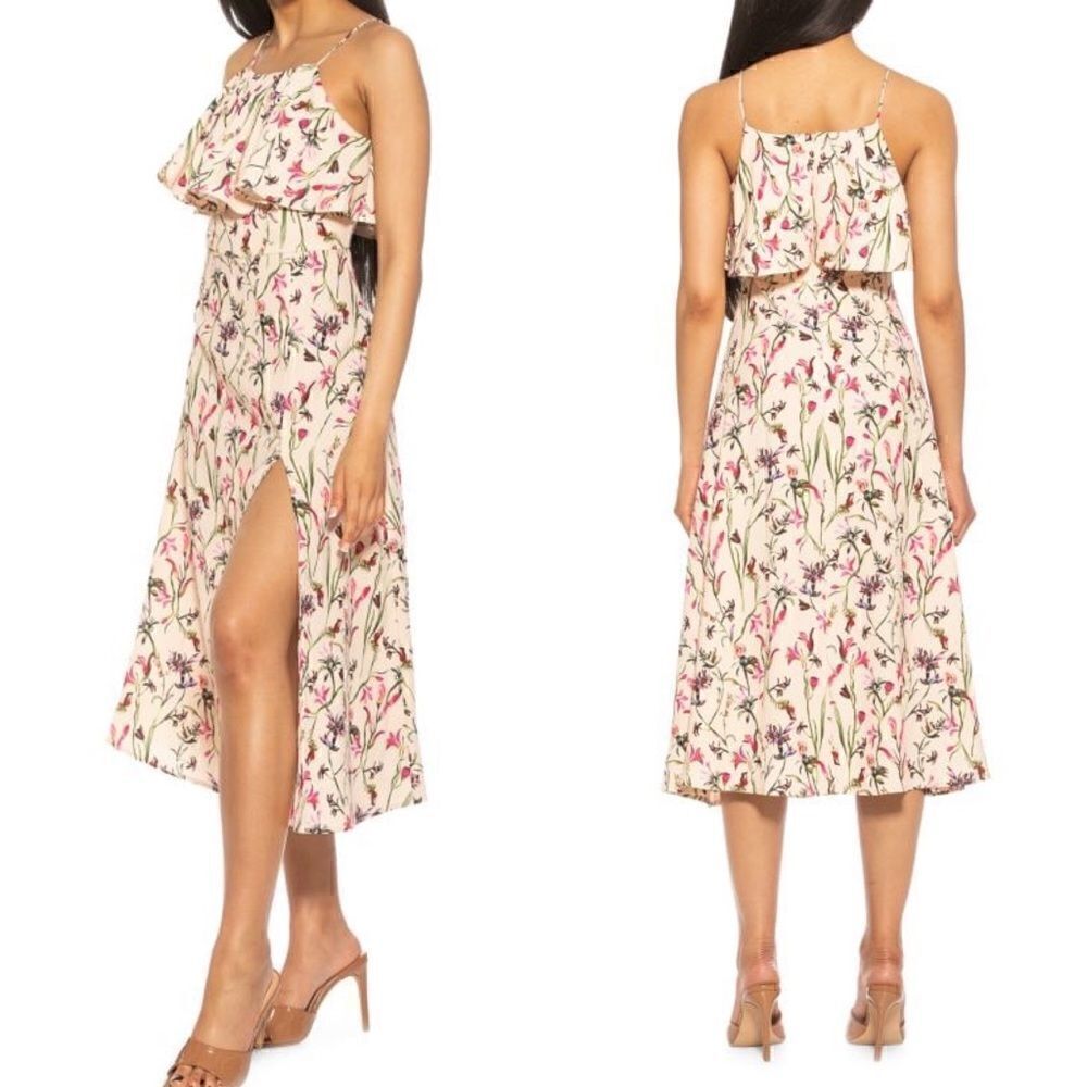 ALEXIA ADMOR Hailee Fit & Flare Dress size 10 NWOT